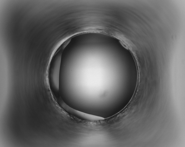 X0000095930960200802011018