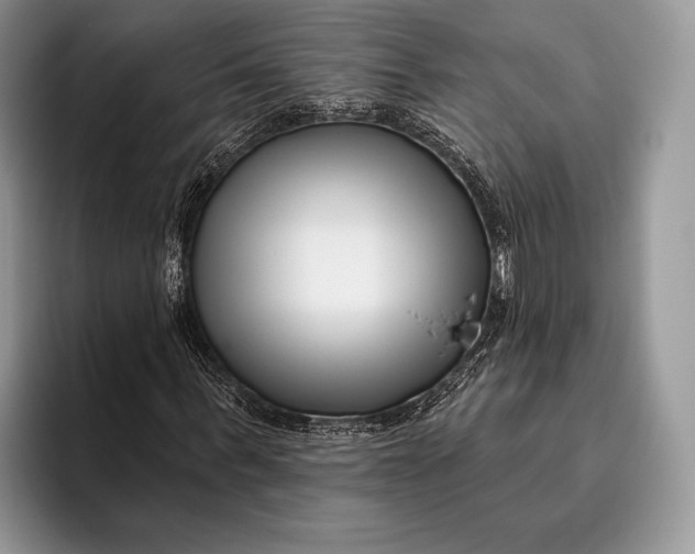 X0000095930963200802011018