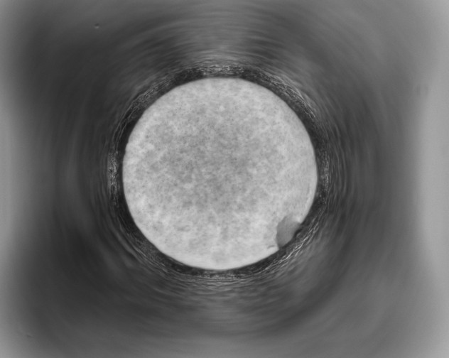 X0000095930964200802011018