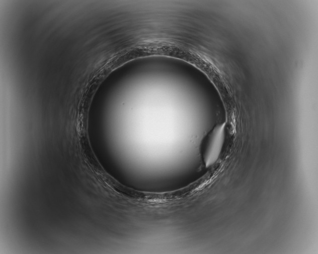 X0000095930965200802011018