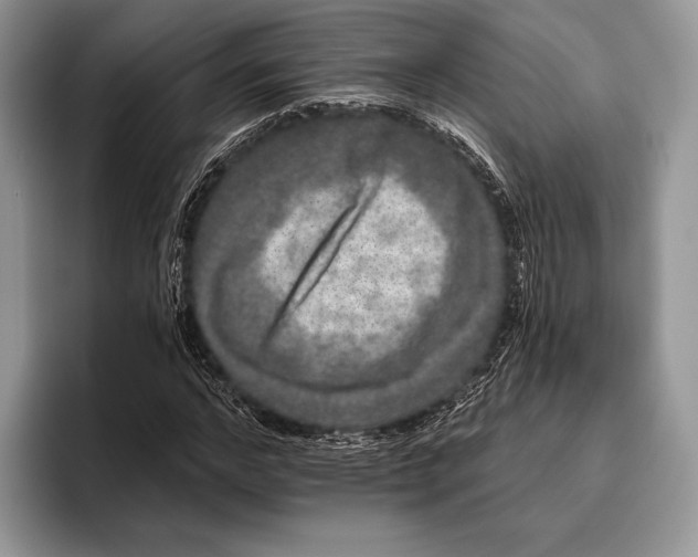X0000095930968200802011018