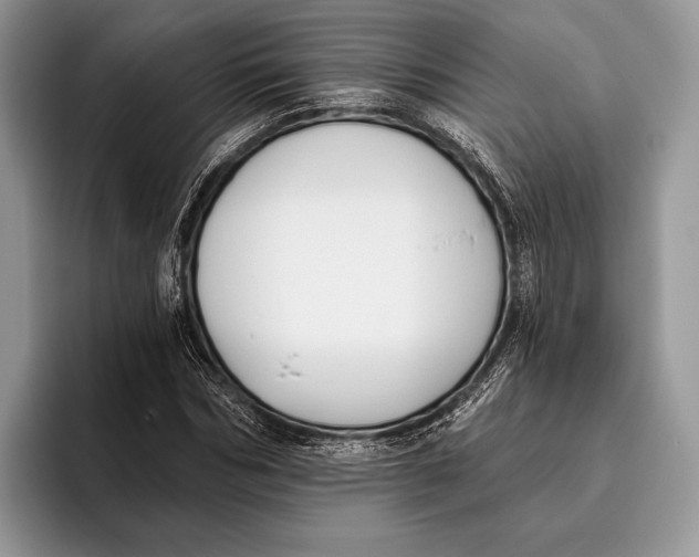 X0000095930970200802011018