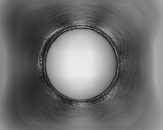 X0000095930971200802011018