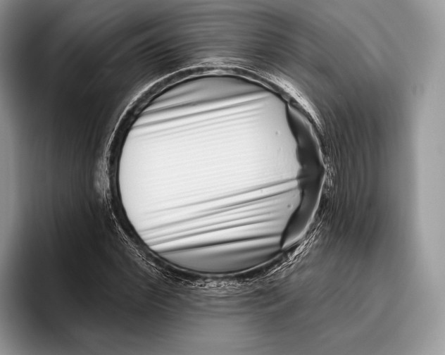 X0000095930972200802011018
