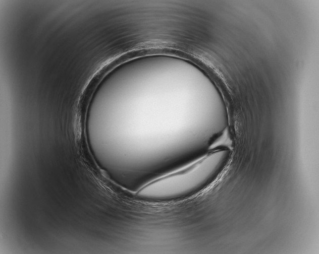 X0000095930973200802011018