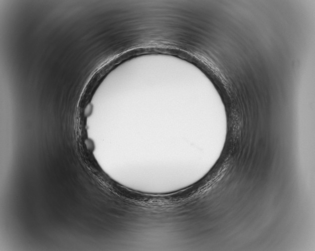 X0000095930974200802011018