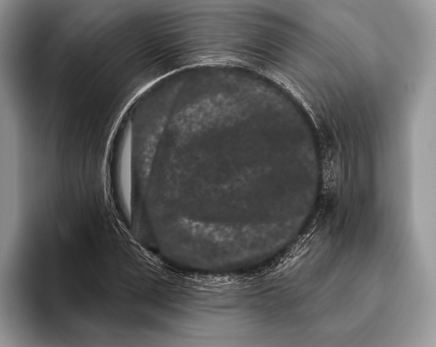 X0000095930975200802011018