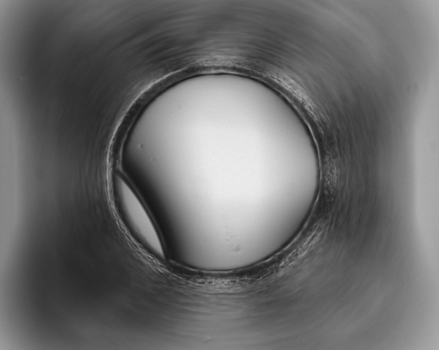 X0000095930976200802011018