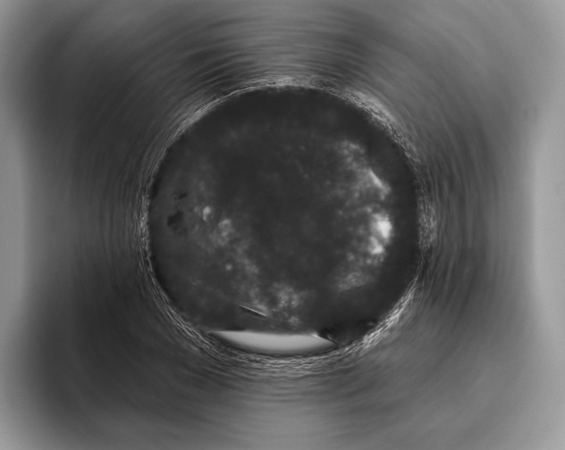 X0000095930977200802011018