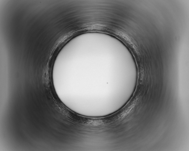 X0000095930978200802011018