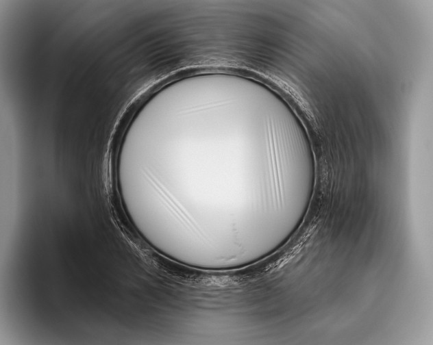 X0000095930982200802011018