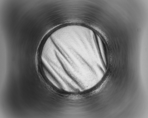 X0000095930983200802011018