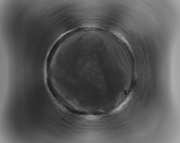 X0000095930984200802011017