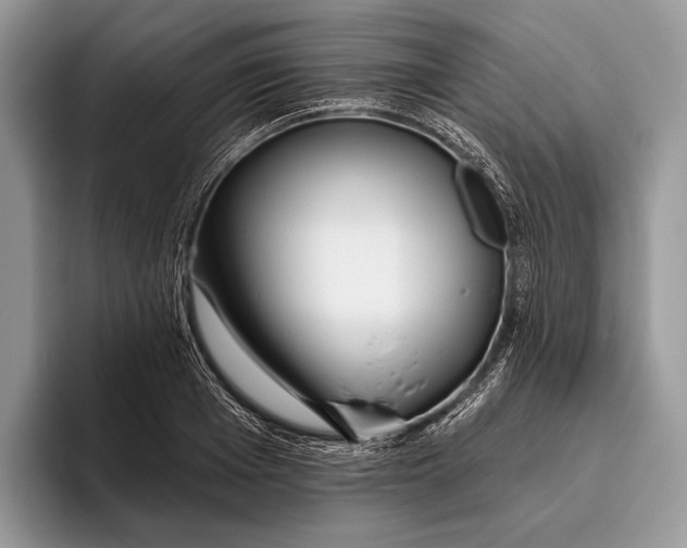 X0000095930985200802011017