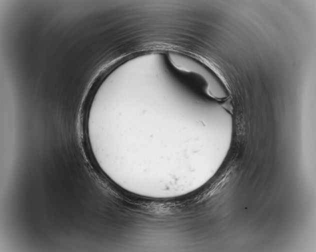 X0000095930987200802011017
