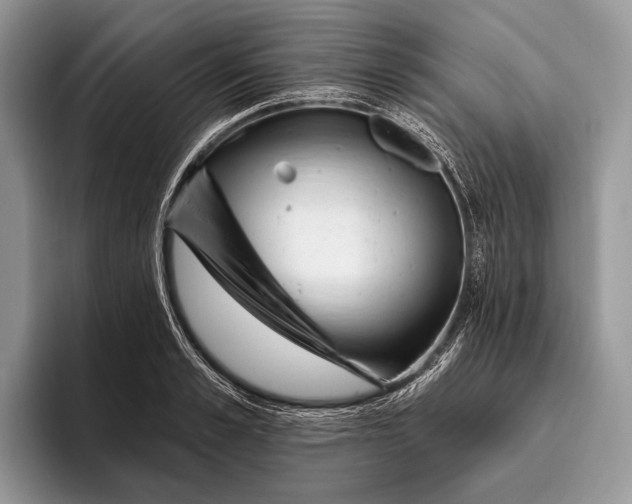 X0000095930989200802011017