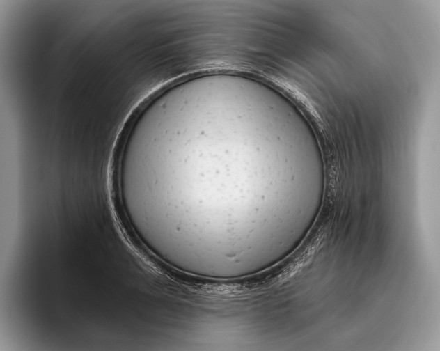 X0000095930991200802011017