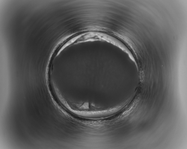 X0000095930995200802011017