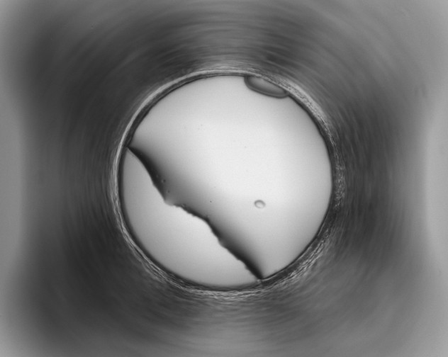 X0000095930996200802011017