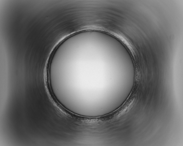 X0000095930999200802011017