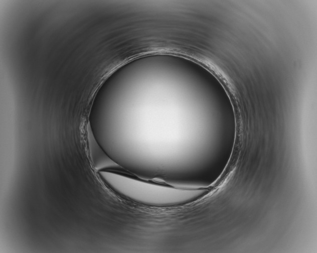 X0000095931001200802011017