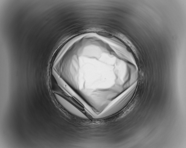 X0000095931002200802011017