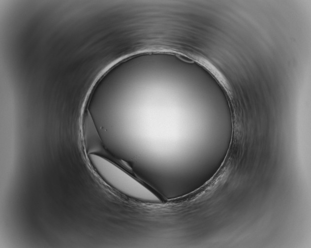 X0000095931004200802011017