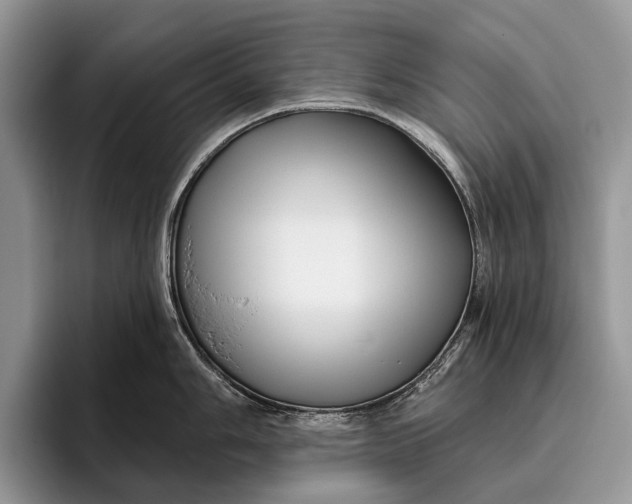 X0000095931006200802011017