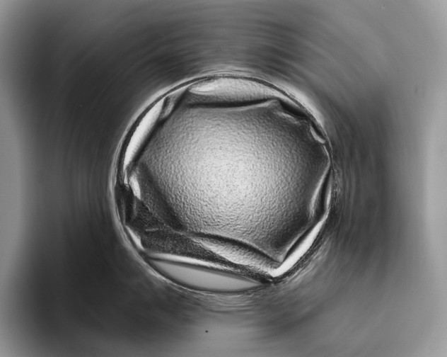 X0000095931007200802011017