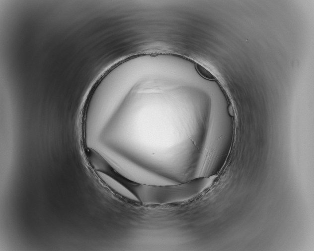 X0000095931008200802011017