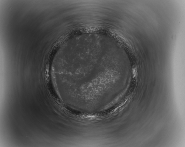 X0000095931011200802011017