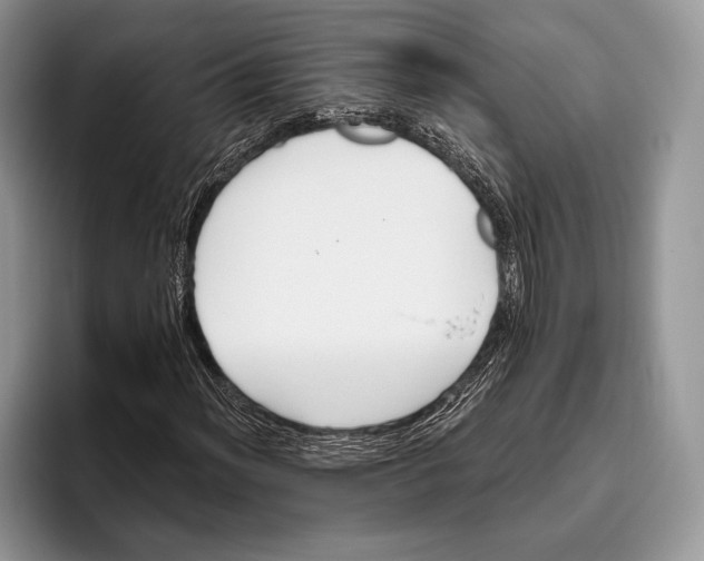 X0000095931012200802011017