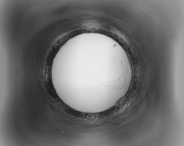X0000095931016200802011017