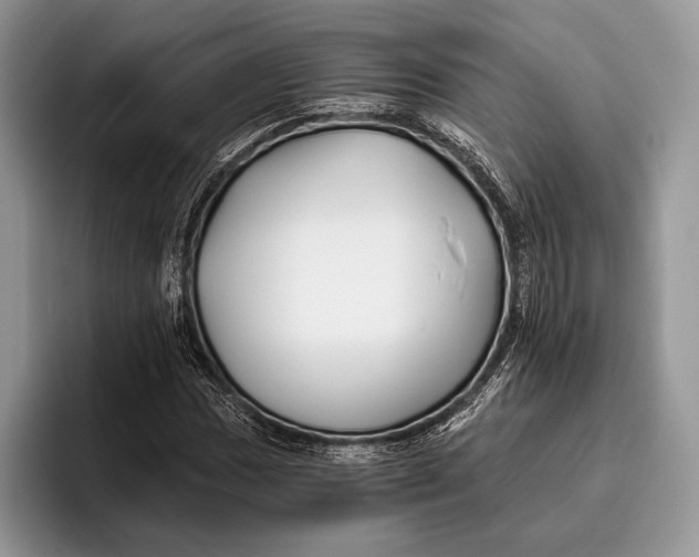 X0000095931017200802011017