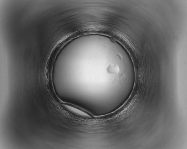 X0000095931018200802011017