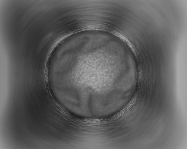 X0000095931019200802011017