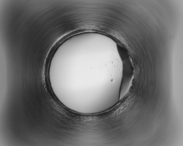 X0000095931020200802011017