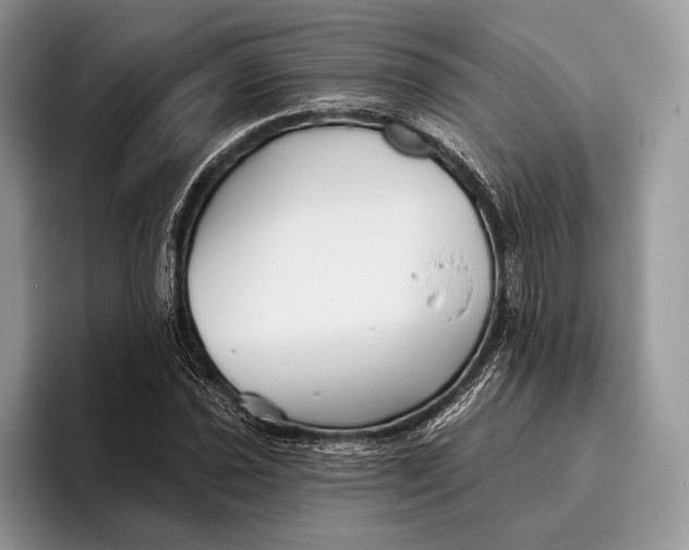 X0000095931021200802011017