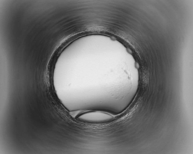 X0000095931022200802011017