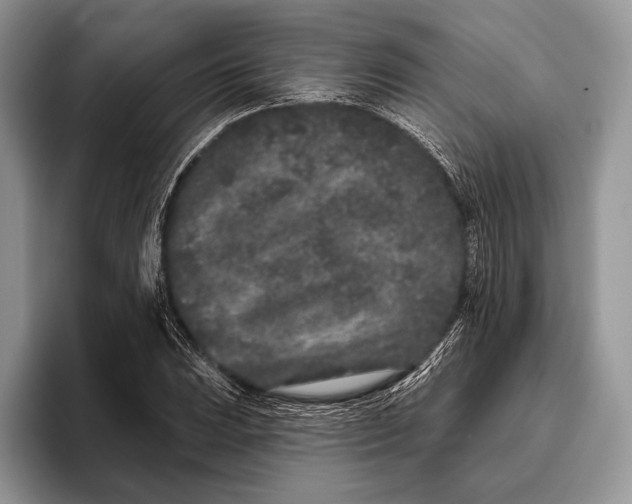 X0000095931023200802011017