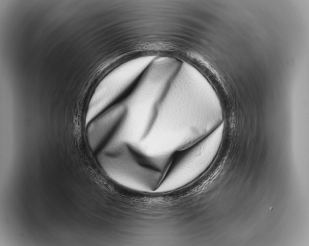X0000095931025200802011017