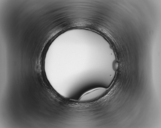 X0000095931026200802011017