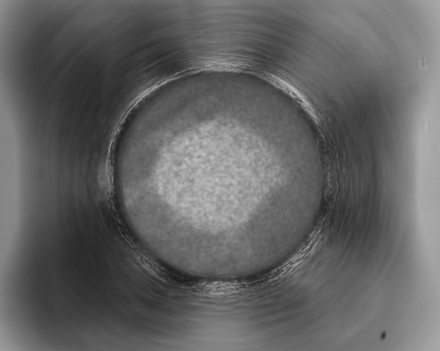 X0000095931027200802011017