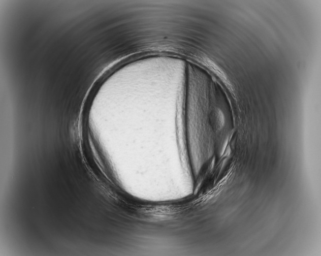 X0000095931028200802011017