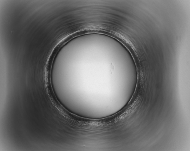 X0000095931029200802011017