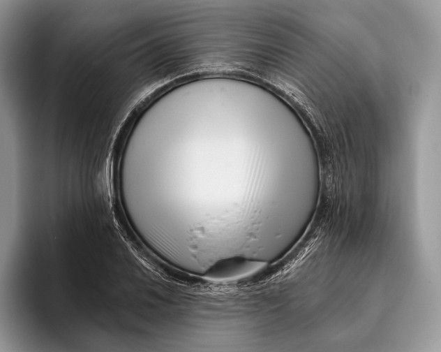 X0000095931030200802011017