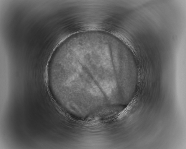 X0000095931031200802011017