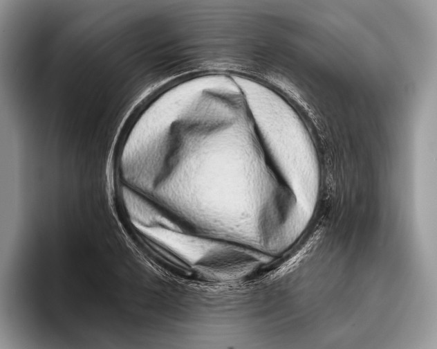 X0000095931032200802011017