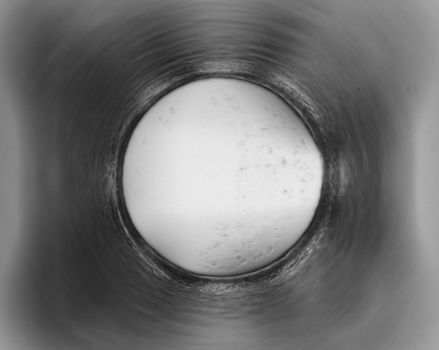 X0000095931033200802011017