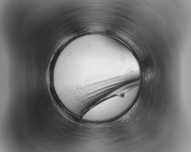 X0000095931034200802011017